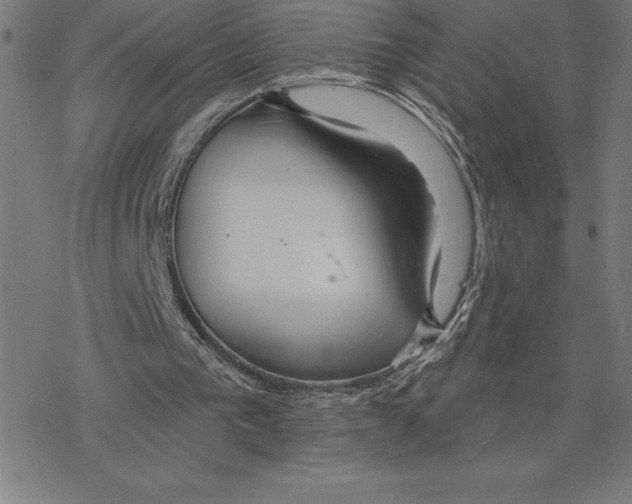 X0000078270193200612011728