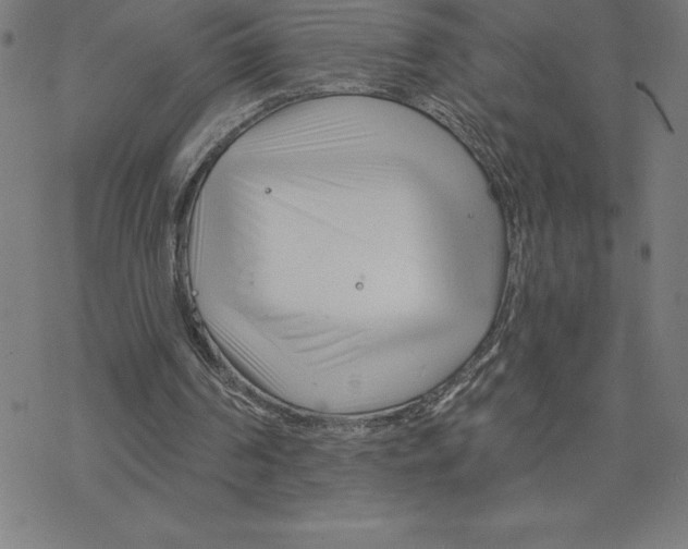 X0000078270194200612011728