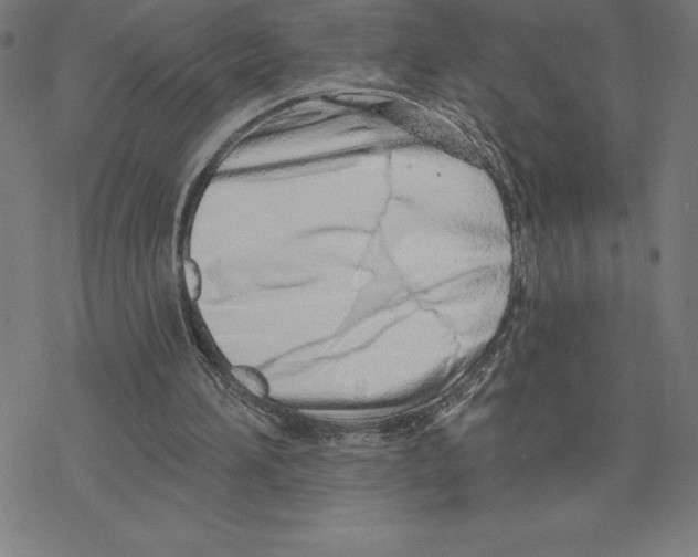 X0000078270196200612011728