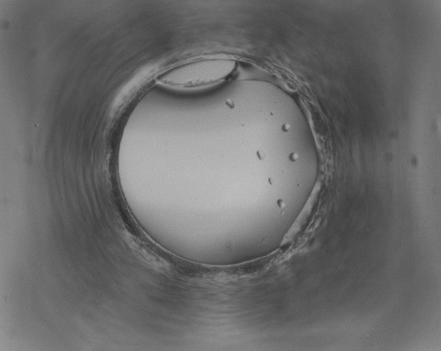 X0000078270197200612011728