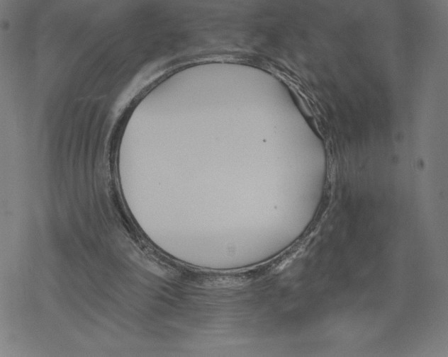 X0000078270198200612011728