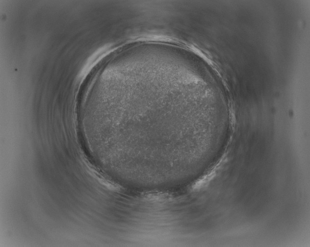 X0000078270199200612011728