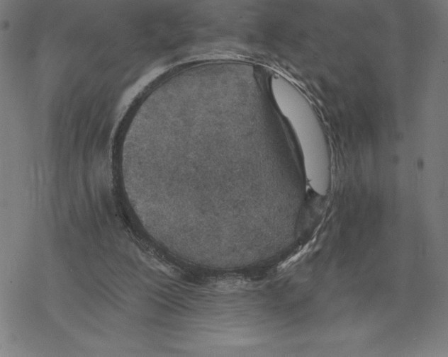 X0000078270200200612011728