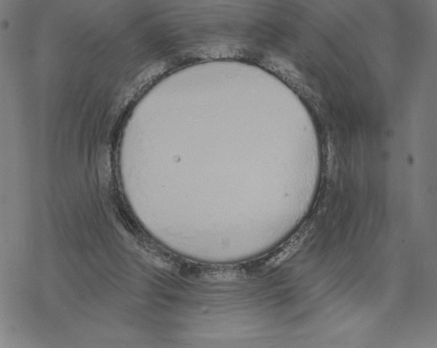 X0000078270202200612011728