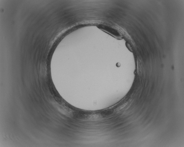 X0000078270204200612011728