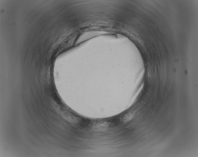 X0000078270206200612011728