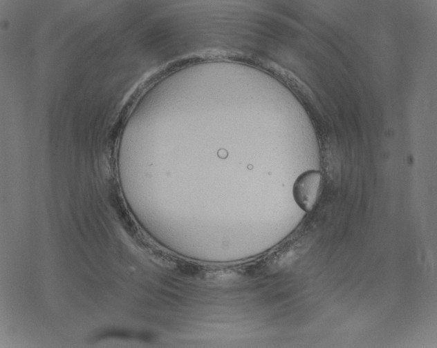 X0000078270208200612011727