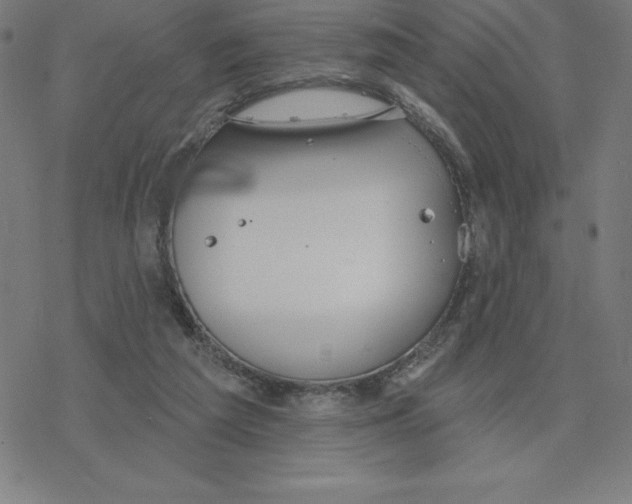 X0000078270209200612011727