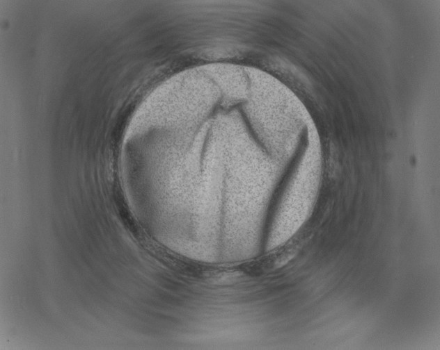 X0000078270210200612011727