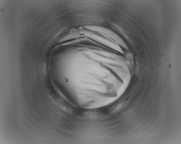 X0000078270211200612011727