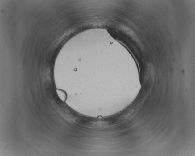 X0000078270212200612011727