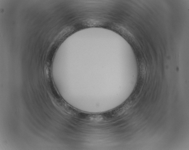 X0000078270214200612011727