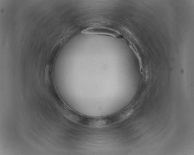 X0000078270217200612011727