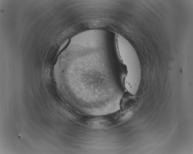 X0000078270219200612011727