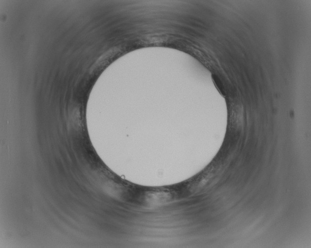 X0000078270220200612011727