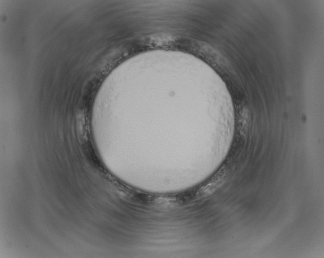 X0000078270222200612011727