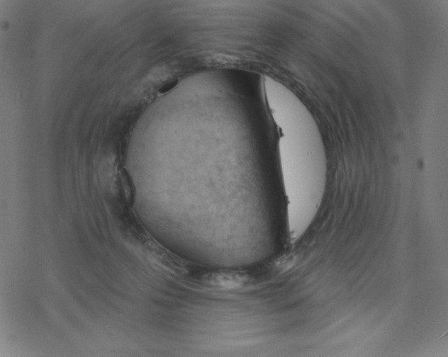 X0000078270223200612011727