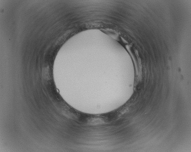 X0000078270224200612011727