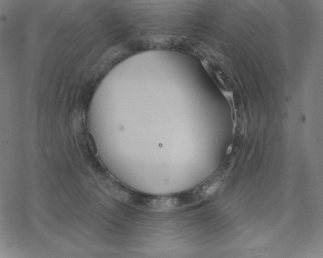 X0000078270225200612011727