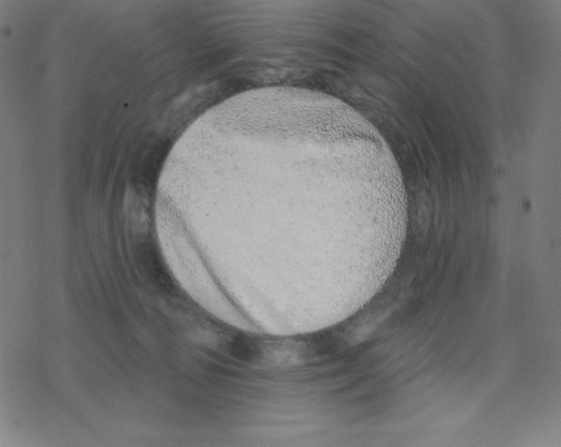 X0000078270226200612011727