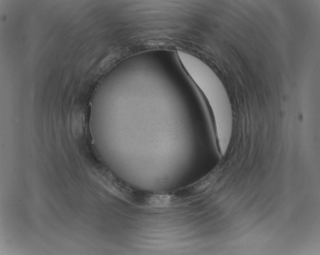 X0000078270227200612011727