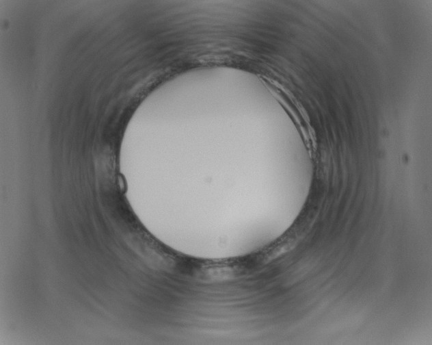 X0000078270228200612011727