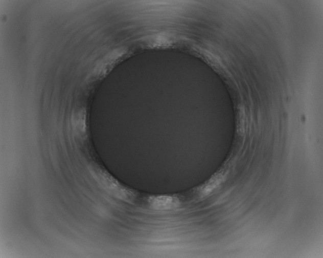 X0000078270230200612011727