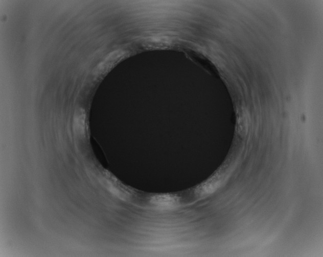 X0000078270231200612011727