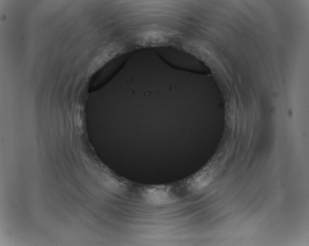 X0000078270232200612011727