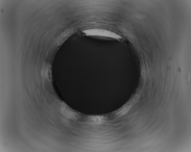 X0000078270233200612011727