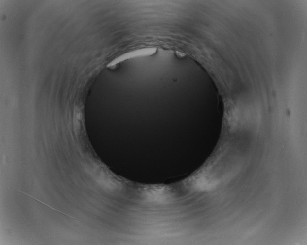 X0000078270235200612011727