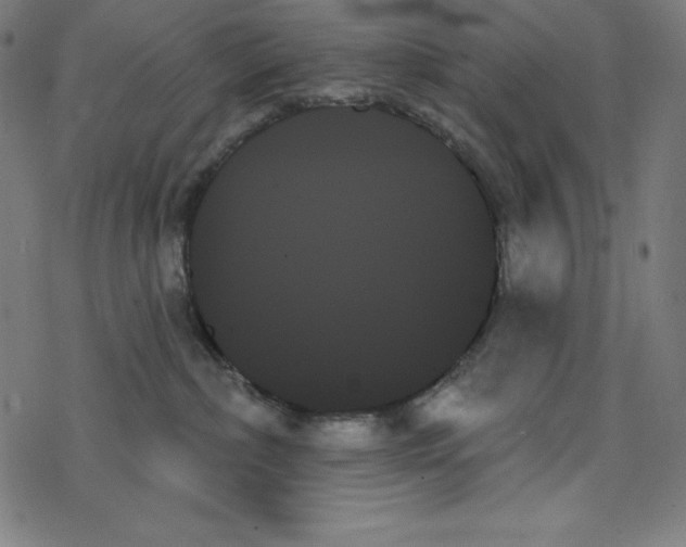 X0000078270236200612011727