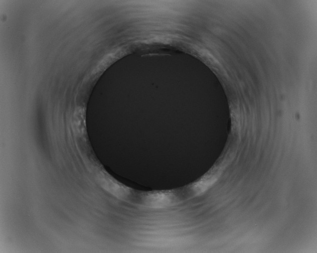 X0000078270237200612011727