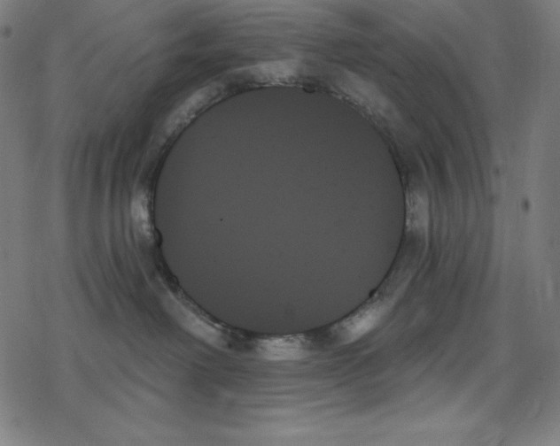 X0000078270238200612011727