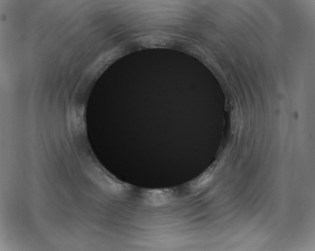 X0000078270239200612011727