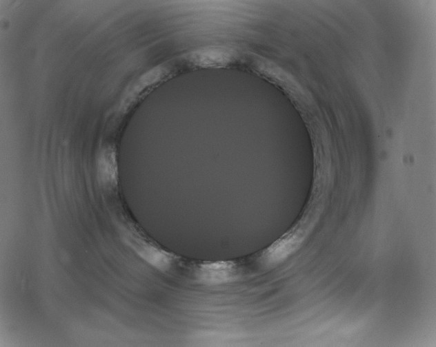 X0000078270240200612011727