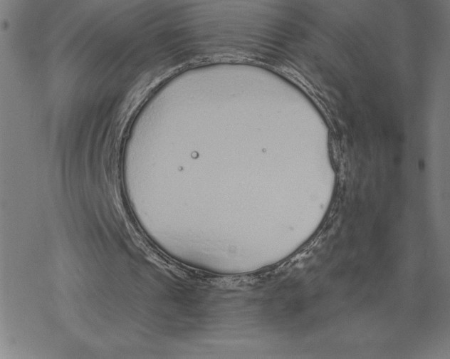 X0000078270241200612011726