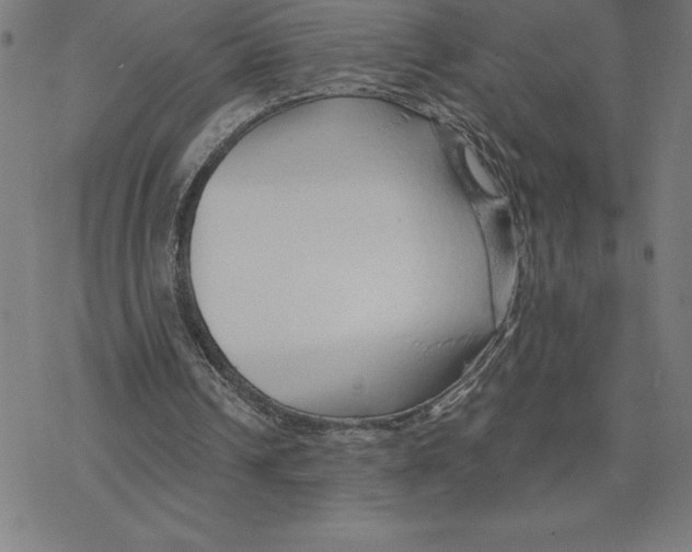 X0000078270242200612011726