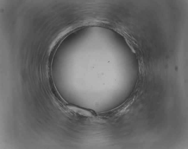 X0000078270244200612011726