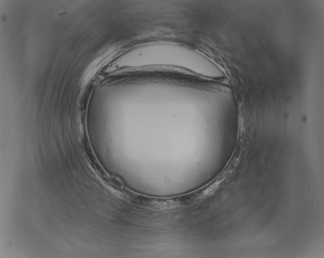 X0000078270245200612011726