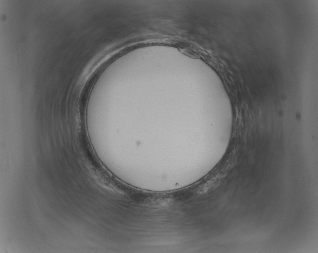 X0000078270247200612011726