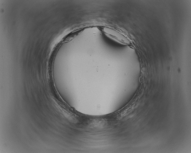 X0000078270248200612011726