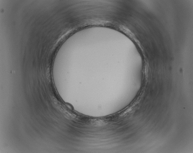 X0000078270249200612011726