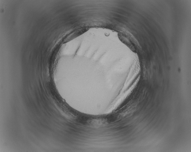 X0000078270251200612011726