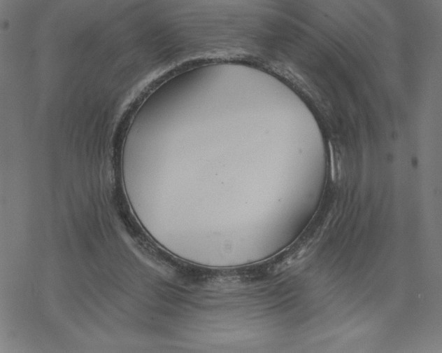 X0000078270252200612011726