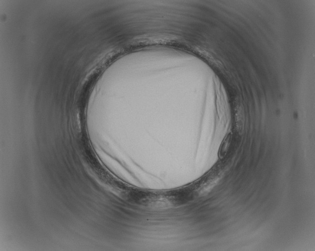 X0000078270254200612011726