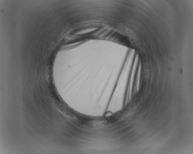 X0000078270255200612011726