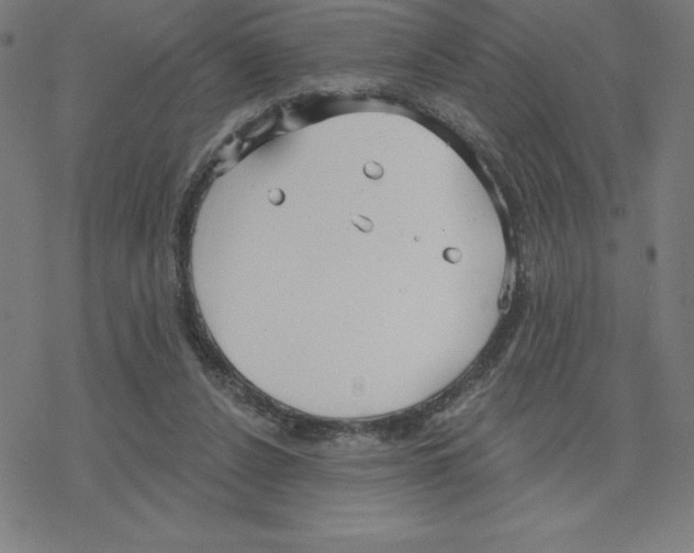 X0000078270256200612011726