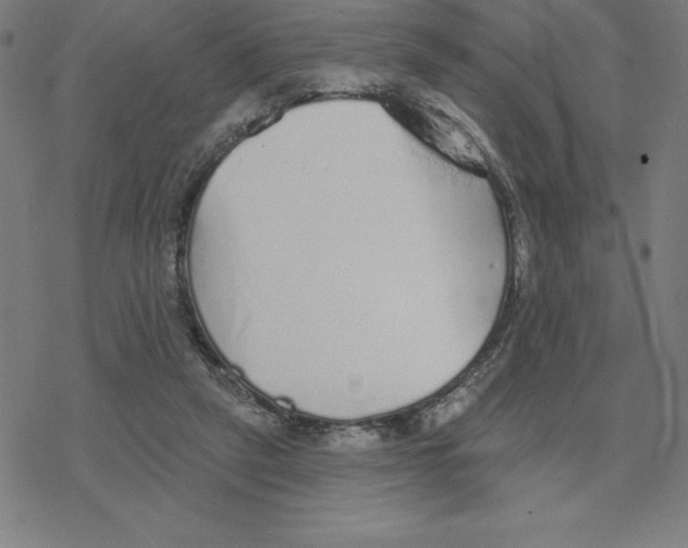 X0000078270257200612011726