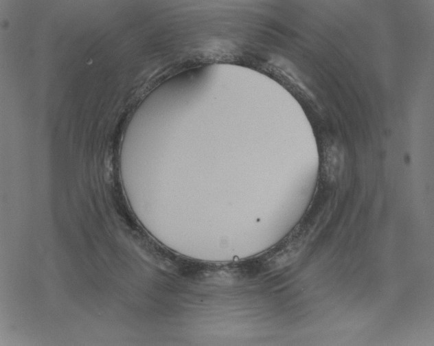 X0000078270259200612011726